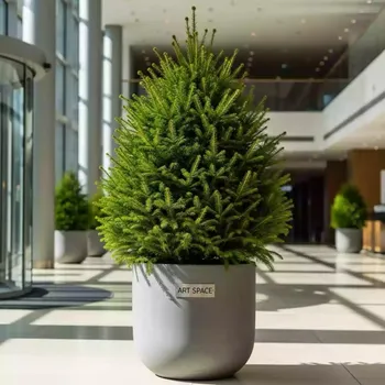 Аренда Ель Ефимия в Sport Inn Hotel & Wellness — ART SPACE