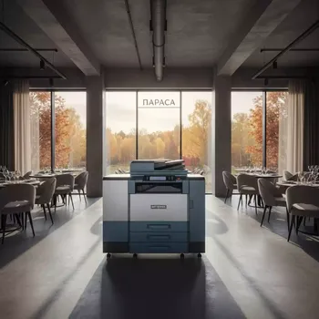 Аренда Финишер со степлером Sindoh D 330e D 332e в ресторане «Паруса» — ART SPACE