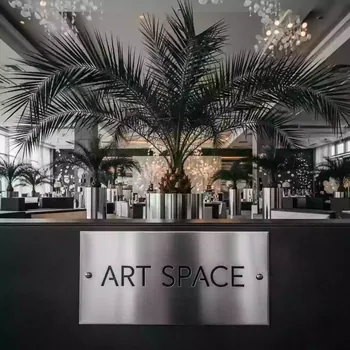 Аренда Пальмы кентия ховея на курорте «Газпром» (Альпика) — ART SPACE