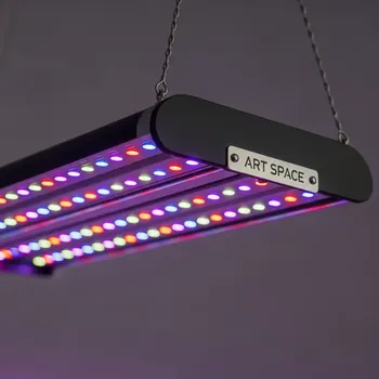 Аренда Фитопрожектор для растений Эра 100 Вт LED красно синий спектр на Медальной площади — ART SPACE