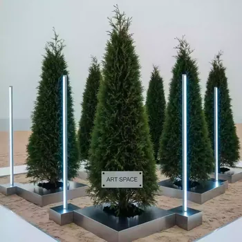 Аренда Туя 180 см на пляже «Ривьера» — ART SPACE