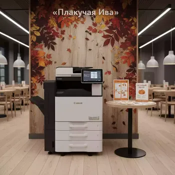 Аренда Машина печатная цифровая Canon imagePRESS V1000 в ресторане «Плакучая Ива» — ART SPACE