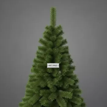 Аренда Елка искусственная Royal Christmas Dakota Reduced PVC 120 см в банкетном зале «Дельфин» — ART SPACE