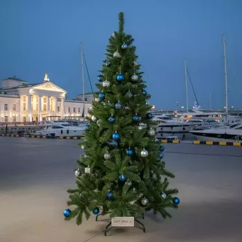 Аренда Елка искусственная Royal Christmas Standard Promo PVC 180 см на территории Морпорта Сочи — ART SPACE