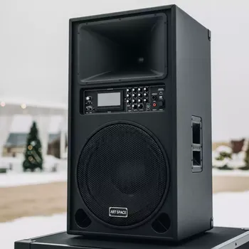 Аренда Акустическая система Behringer B115MP3 Eurolive на пляже «Мандарин» — ART SPACE
