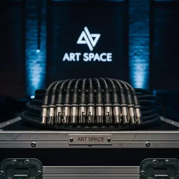 Аренда Мультикор сценический в ресторане «Баран-Рапан» — ART SPACE