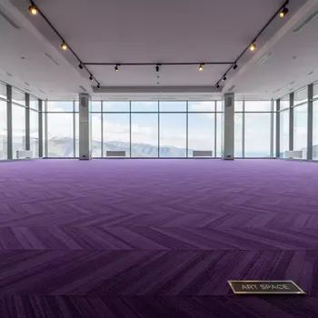 Аренда Ковролин фиолетовый 0009 в Skypark Sochi — ART SPACE