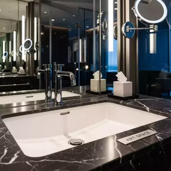 Аренда Раковины встраиваемые Flumen Design в отеле Hyatt Regency Sochi — ART SPACE