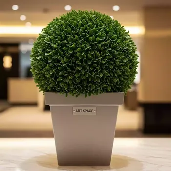 Аренда Самшит в кашпо 40 см в Mövenpick Hotel — ART SPACE
