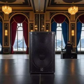 Аренда Монитор сценический пассивный 2 полосный JBL VRX915M в Sochi Marriott Krasnaya Polyana — ART SPACE