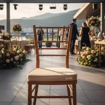 Аренда Подушка на стул Кьявари 3 см бежевый велюр в Sochi Marriott Krasnaya Polyana — ART SPACE