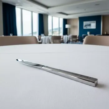 Аренда Нож столовый эконом сталь нержавеющая № 1 в отеле Radisson Lazurnaya — ART SPACE