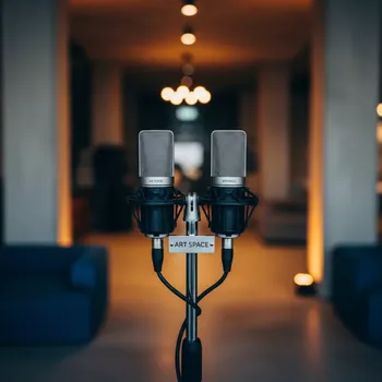 Аренда Микрофон Beyerdynamic mpc 40 Beyerdynamic Opus 51 в пляжном комплексе VinoGrad — ART SPACE