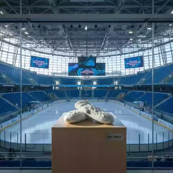 Аренда Варежки декоративные в ледовой арене «Шайба» — ART SPACE