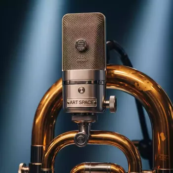Аренда Микрофон Audix ADX 20i в гранд-отеле «Жемчужина» — ART SPACE