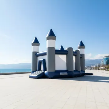Аренда Замки надувные на Имеретинской набережной — ART SPACE