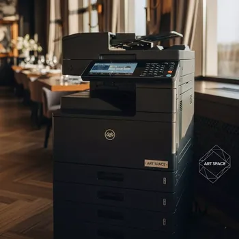 Аренда МФУ Konica Minolta bizhub C287 A797027 A797021 в ресторане «Баран-Рапан» — ART SPACE