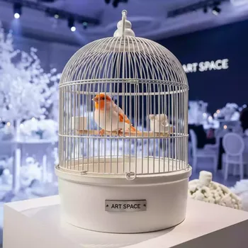 Аренда Клетка Canary в санатории «Металлург» — ART SPACE