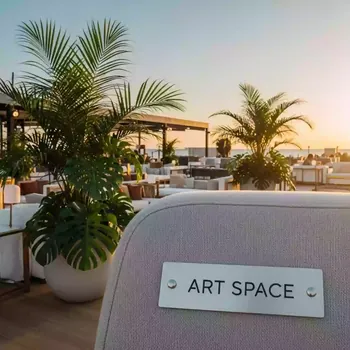 Аренда Растения декоративные на пляже «Мандарин» — ART SPACE
