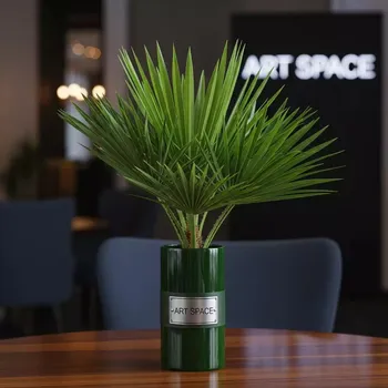 Аренда Пальма финиковая малая в Mövenpick Hotel — ART SPACE