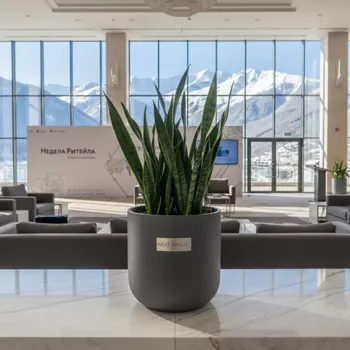 Аренда Кашпо Tentira 24 см в Radisson Hotel Rosa Khutor — ART SPACE