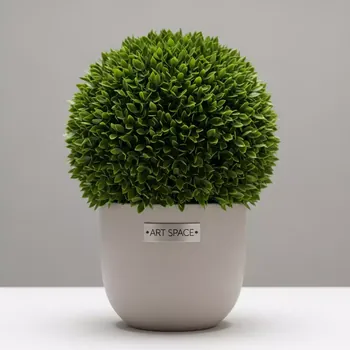 Аренда Самшит 45 см в ресторане «Sanremo» — ART SPACE