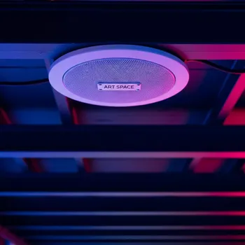 Аренда Громкоговоритель Crestron SAROS ICI6T W T EACH на Имеретинской набережной — ART SPACE