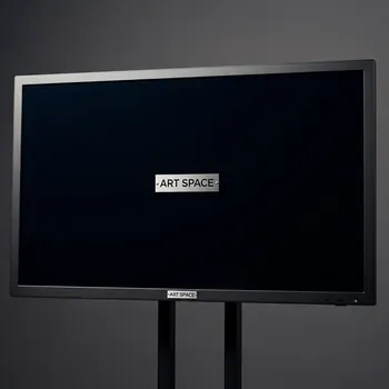 Аренда Панель профессиональная 32 Hisense 32DM66D в Imeretinskiy Hotel — ART SPACE