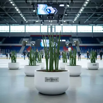 Аренда Кашпо для цветов Prosperplast Rato Low белый в Ледовом дворце «Айсберг» — ART SPACE