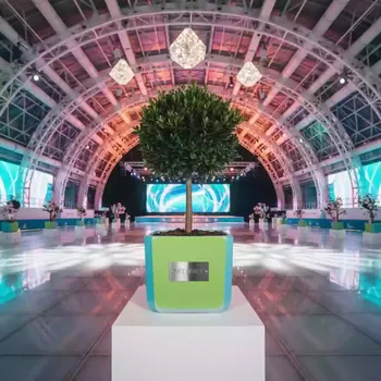 Аренда Самшит 22 см в Ледовом дворце «Айсберг» — ART SPACE