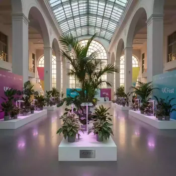 Аренда Фитолампы Е27 в гранд-отеле «Жемчужина» — ART SPACE