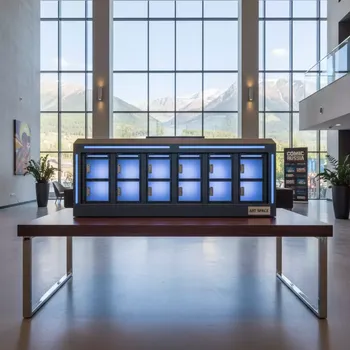 Аренда Станция зарядная настольная Locker в Golden Tulip Rosa Khutor — ART SPACE