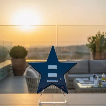 Аренда Гитара звезда Girl Guitars в ресторане «La Terrazza» — ART SPACE