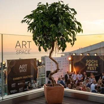 Аренда Искусственный фикус малый Сочи в ART SPACE