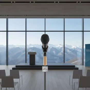 Аренда Динамические микрофоны в Skypark Sochi — ART SPACE