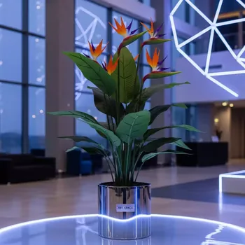 Аренда Стрелиция 160 см в отеле Hyatt Regency Sochi — ART SPACE