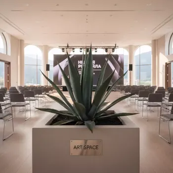 Аренда Агавы в Golden Tulip Rosa Khutor — ART SPACE