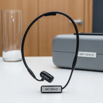 Аренда Радиогарнитура AKG C 520L с оголовьем на теплоходе «Дагомыс» — ART SPACE