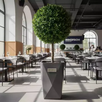 Аренда Дерево Самшит в ресторане «La Terrazza» — ART SPACE