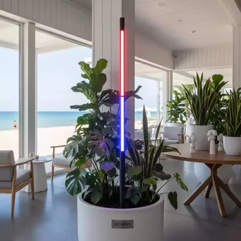 Аренда Фитолампа для растений ФитоЛето в пляжном клубе Del Mar — ART SPACE