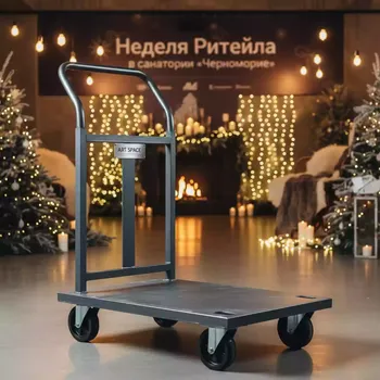 Аренда Тележка платформенная 4 колесная ручная Стелла КПО 500С 160 K 400 кг в санатории «Черноморье» — ART SPACE
