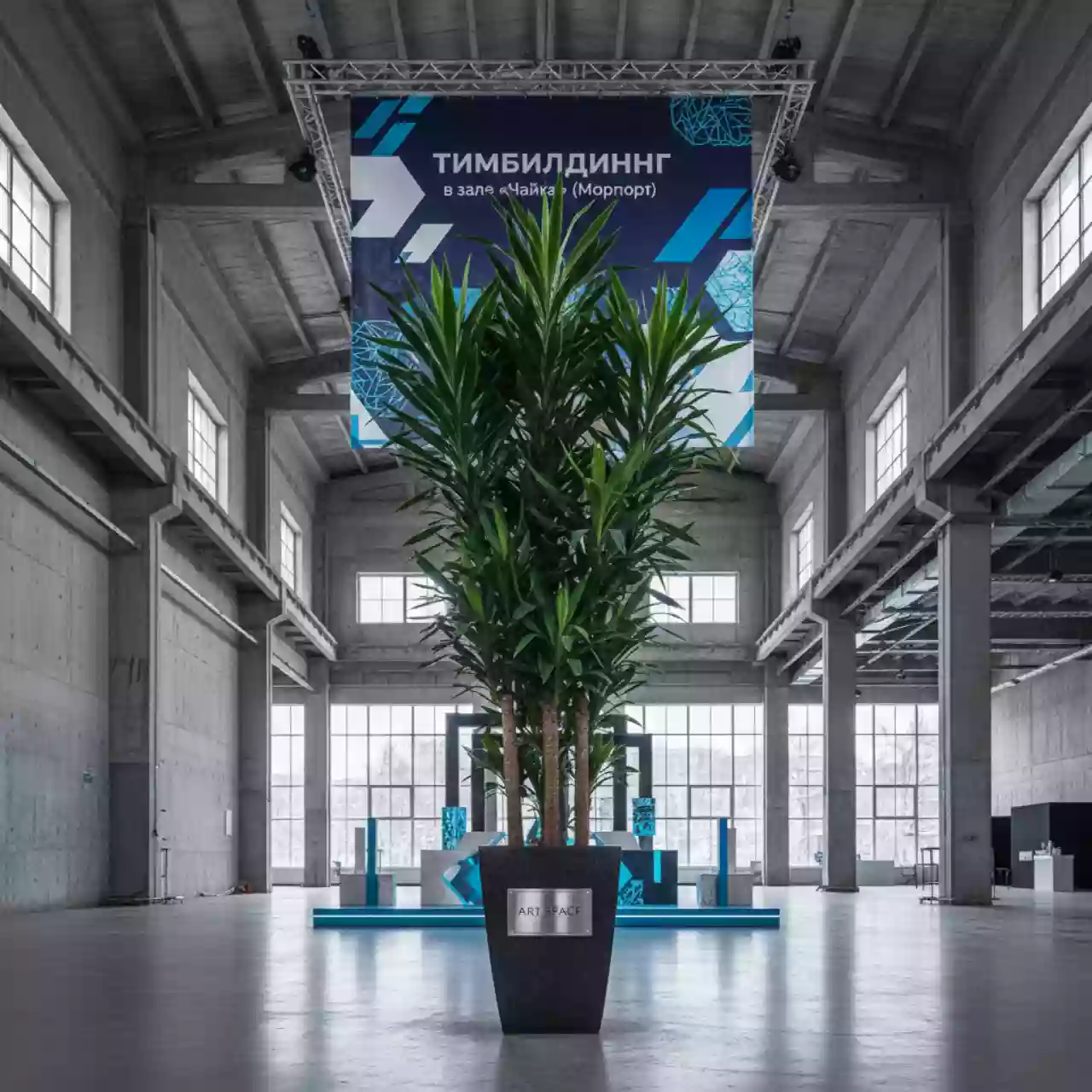 Аренда Драцены Джанет Кейг в зале «Чайка» (Морпорт) — ART SPACE