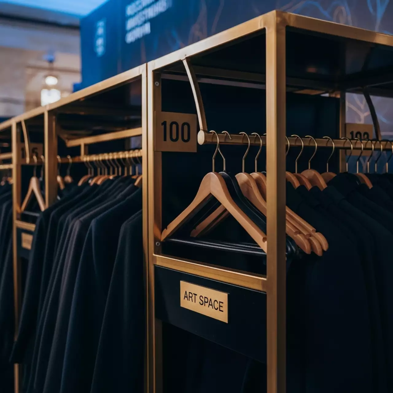 Аренда Гардероб 501 1000 мест в Зимнем театре — ART SPACE