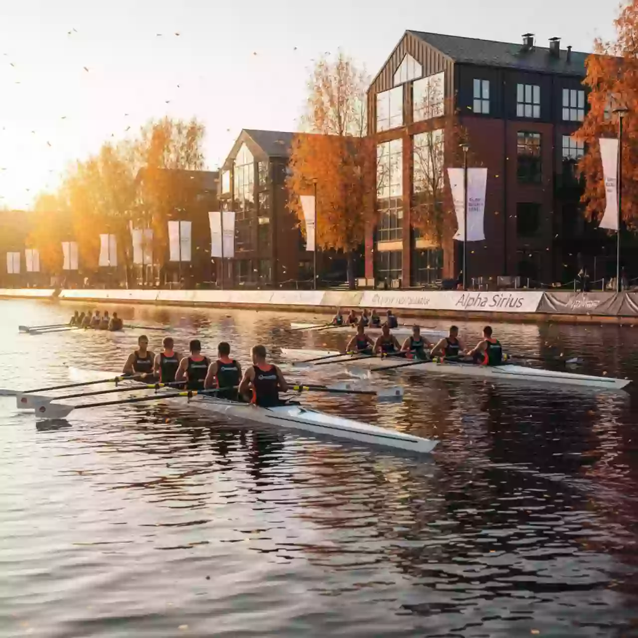 Аренда Соревнования по академической гребле "Большая регата в Крылатском" в Alpha Sirius — ART SPACE