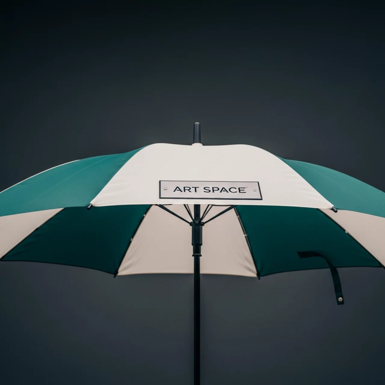 Аренда Зонт Umbrella